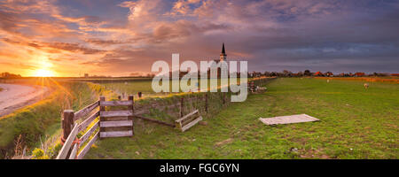 Die Kirche von Den Hoorn auf der Insel Texel in den Niederlanden bei Sonnenaufgang. Ein Feld mit Schafen und kleinen Lämmer in der Front. Stockfoto