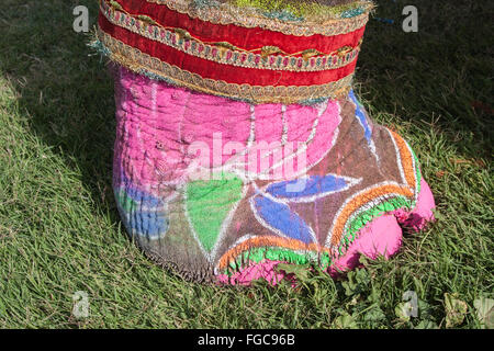 Detail der bemalten Elefanten während Elefanten Festival während Holi, hinduistische Feier in Jaipur, Rajasthan, Indien, Asien. Stockfoto