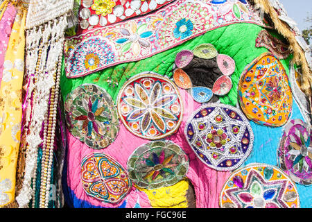 Detail der bemalten Elefanten während Elefanten Festival während Holi, hinduistische Feier in Jaipur, Rajasthan, Indien, Asien. Stockfoto