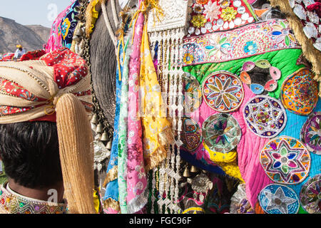 Detail der bemalten Elefanten während Elefanten Festival während Holi, hinduistische Feier in Jaipur, Rajasthan, Indien, Asien. Stockfoto