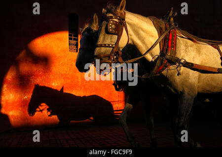 Bab Agnaou ist e der Neteen Ges von MarrakechMorocco. 12. Jahrhundert zur Zeit der Almohaden-Dynastie erbaut. Stockfoto