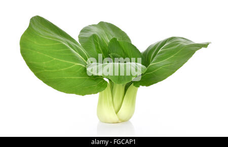 Bok Choy (Chinakohl) auf weißem Hintergrund Stockfoto