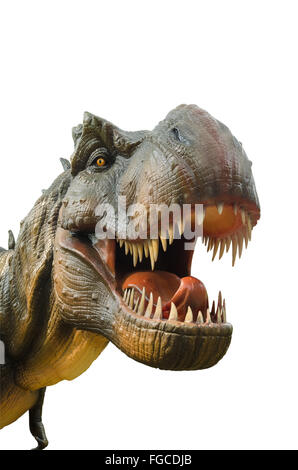 Aggressive T Rex Dinosaurier auf weißem Hintergrund. Stockfoto