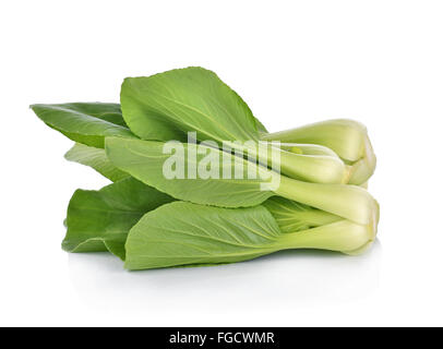 Bok Choy (Chinakohl) isoliert auf weiss Stockfoto