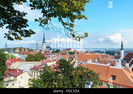 Blick auf St. Olavs Kirche und die Altstadt von Tallinn, Estland Stockfoto