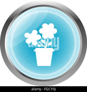 Web Blumenknöpfe für Website oder app Stockfoto