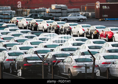 Britische Automobilexporte in Liverpool, Merseyside, Vereinigtes Königreich. Februar 2016. Peel Ports 300 Millionen Pfund Tiefwassercontainer Terminal, das jetzt die größten Containerschiffe der Welt befördern kann, und wenn die Liverpool2-Dockingstation in Seaforth voll funktionsfähig ist, kann 95 % der größten Frachtschiffe der Welt umgeschlagen werden. Wenn Großbritannien für einen Austritt aus der EU stimmt, muss es eine neue Handelsbeziehung mit einer Organisation aushandeln, die jetzt 27 Mitglieder hätte. Die EU ist für etwa 50 Prozent der britischen Warenexporte und 35 Prozent der Exporte von Dienstleistungen verantwortlich, was etwa 12 Prozent bis 13 Prozent des BIP entspricht. Stockfoto