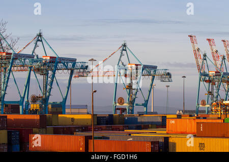 Liverpool, Merseyside, England. 19. Februar 2016. Peel Ports £300m tiefem Wasser Containerterminals, die jetzt die größten Containerschiffe der Welt, und verarbeiten kann wenn voll funktionsfähig Liverpool2 am Seaforth dock werden 95 % der größten Frachtschiffe der Welt verarbeiten können. Wenn Großbritannien stimmen die EU verlassen, muss sie eine neuen Handelsbeziehung mit was jetzt eine Organisation mit 27 Mitgliedern wäre zu verhandeln. Die EU ist für um 50pc der UK Warenexporte und 35pc seiner Exporte von Dienstleistungen oder um 12pc, 13pc des BIP verantwortlich. Bildnachweis: MarPhotographics/Alamy Live-Nachrichten Stockfoto