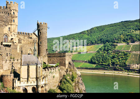 Rheinstein Burg oberhalb des Rheins nahe der Stadt von Trechtingshausen und terrassierten Weinberge, Oberes Mittelrheintal, Deutschland Stockfoto