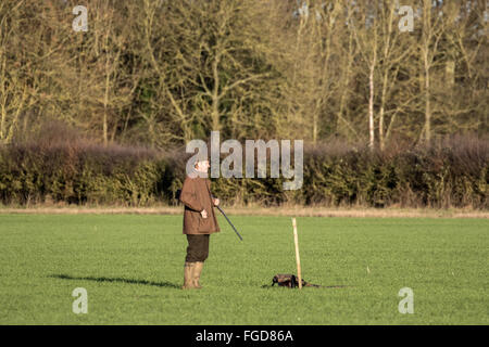 Pistole warten auf Stift am Boulge, Suffolk. Stockfoto