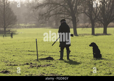 Pistole warten auf Stift am Boulge, Suffolk. Stockfoto