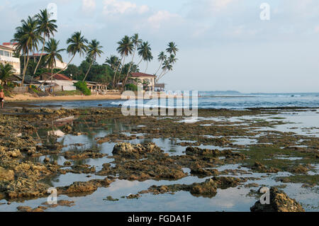 Die Küstenstadt Riff bei Ebbe, Hikkaduwa, Sri Lanka, Südasien Stockfoto