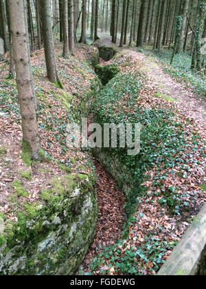 Verdun, Frankreich. 20. Februar 2014. Ein Graben schlängelt sich durch den Wald in Bois Brule in der Nähe von Apremont-la-Foret in der Nähe von Verdun, Frankreich, 20. Februar 2014. Foto: Gerd Roth/Dpa/Alamy Live News Stockfoto