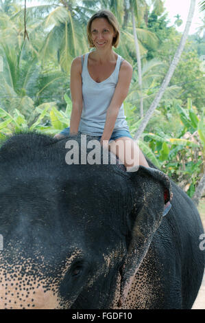 Frau reitet auf einem Elefanten durch den Dschungel - indischer Elefant, Asiatischer Elefant oder asiatischer Elefant (Elephas Maximus) Hikkaduwa, Stockfoto