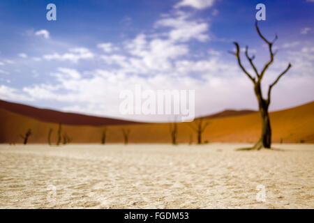 Alten toten Bäumen stehend auf einem ausgetrockneten Sees vor roten Dünen der namibischen Wüste. Stockfoto