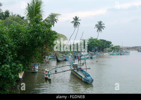 Traditionelle Katamaran Fishing Boote Sri Lanka sind in die Lagune, Hikkaduwa, Sri Lanka, Südasien Stockfoto