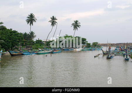 Traditionelle Katamaran Fishing Boote Sri Lanka sind in die Lagune, Hikkaduwa, Sri Lanka, Südasien Stockfoto