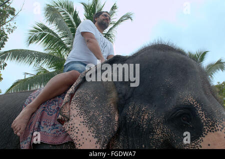 3. März 2016 - Mann reitet auf indischer Elefant, Asiatischer Elefant oder asiatischer Elefant (Elephas Maximus) Hikkaduwa, Sri Lanka, Südasien (Credit-Bild: © Andrey Nekrassow/ZUMA Wire/ZUMAPRESS.com) Stockfoto