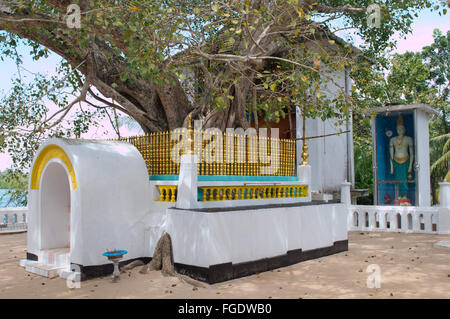 3. März 2016 - Kothduwa Tempel oder Koth Duwa Raja Maha Viharaya, Kothduwa Insel am Fluss Maduganga, Distrikt Galle von der Provinz, Sri Lanka (Credit-Bild: © Andrey Nekrassow/ZUMA Wire/ZUMAPRESS.com) Stockfoto