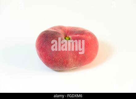 Eine ganze, mittelgroße, Reife, saftige Saturn Pfirsich geformt wie ein Donut mit einer versunkenen Mitte, weiße Haut mit roten Rouge isoliert auf b Stockfoto