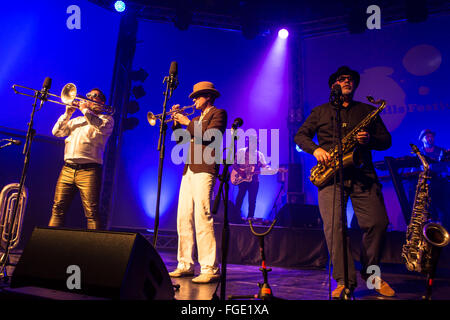 Fat Freddys Drop Stockfoto