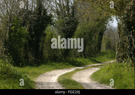 NORMANDIE, FRANKREICH Stockfoto