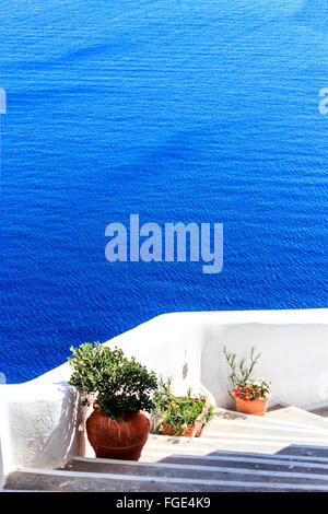 Über eine steile Treppe dekoriert mit Topfpflanzen in Santorini (Oia), Griechenland Stockfoto