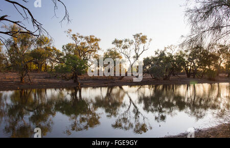 Abenddämmerung Reflexionen von Eukalyptusbäumen (Eukalyptus) um eine Billabong im Outback Queensland, Australien Stockfoto