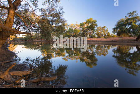 Abenddämmerung Reflexionen von Eukalyptusbäumen (Eukalyptus) um eine Billabong im Outback Queensland, Australien Stockfoto