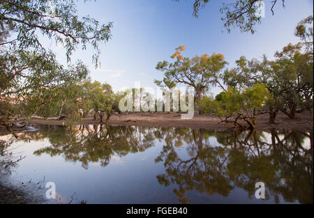 Abenddämmerung Reflexionen von Eukalyptusbäumen (Eukalyptus) um eine Billabong im Outback Queensland, Australien Stockfoto