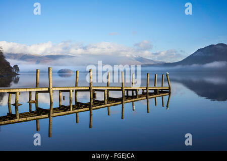 Möve auf hohe Brandelhow Steg, Derwentwater, der Lake District National Park, England Stockfoto