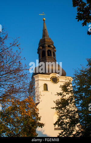 Str. Marys Kathedrale (Toomkirik), Tallinn, Estland Stockfoto