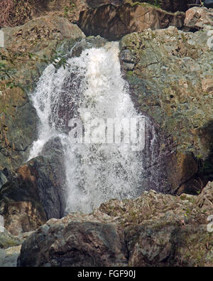 Tobago, Argyle Wasserfall, Karibik, Stockfoto