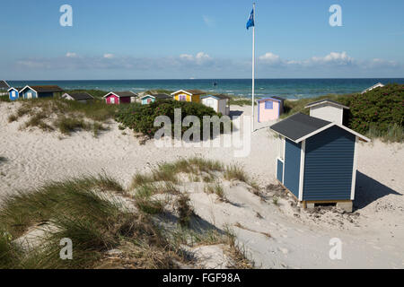 Farbenfrohe Strandhütten in Sanddünen, Skanör Falsterbo, Falsterbo Halbinsel, Skåne, Südschweden, Schweden, Skandinavien, Europa Stockfoto