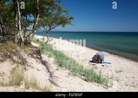 Blick entlang der Kiefer gesäumten Strand, Nybrostrand, in der Nähe von Ystad, Skane (Scania), Südschweden, Schweden, Skandinavien, Europa Stockfoto