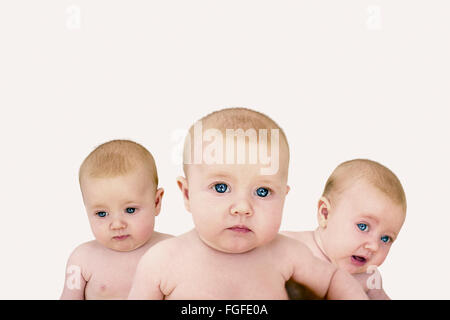 Porträt von drei Baby-Mädchen vor einem weißen Hintergrund Stockfoto