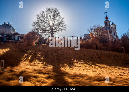 London, UK. 19. Februar 2016. UK-Wetter: Greenwich Observatorium in der Nachmittagssonne im Greenwich Park gesehen. Fotografiert in Farbe Vollspektrum Infrarot-Credit: Guy Corbishley/Alamy Live News Stockfoto