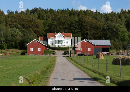 Typisch schwedische Bauernhof in der Nähe von Kode, Bohuslän, Süd-West Schweden, Schweden, Skandinavien, Europa Stockfoto