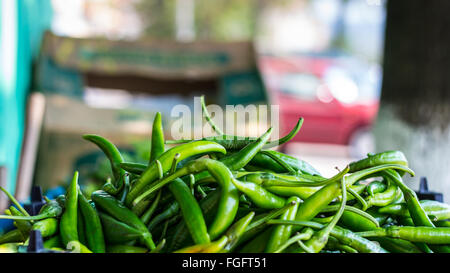 Grüne Paprika am Markt Stockfoto