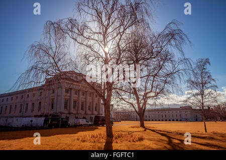 London, UK. 19. Februar 2016. UK-Wetter: Nachmittagssonne im Greenwich Park gesehen in Farbe Infrarot-Credit: Guy Corbishley/Alamy Live News Stockfoto
