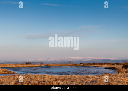 Mynydd Illtud gemeinsamen Brecon Beacons National Park im Winter. Stockfoto