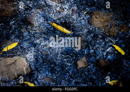 Verbrannte Blätter und Asche. Stockfoto