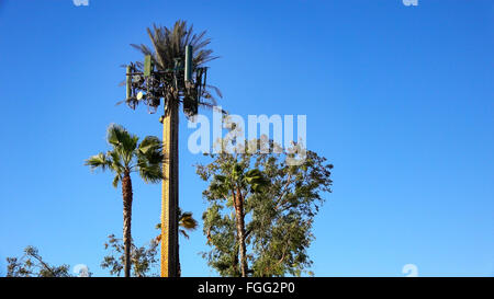 Ein Mobilfunkmast ist getarnt, um eine Palme aussehen, so dass es in seine Umgebung einfügt Stockfoto