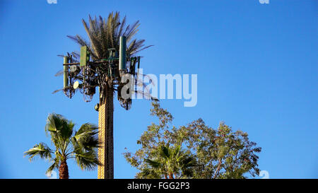 Ein Mobilfunkmast ist getarnt, um eine Palme aussehen, so dass es in seine Umgebung einfügt Stockfoto