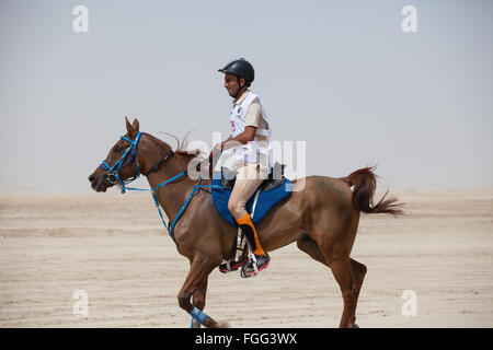 Pferd und Reiter in der extremen Hitze in der Wüste bei Langstreckenrennen für CHI Al Shaqab 2014 Stockfoto