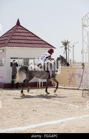 Fahrer zu Beginn einer Etappe der Langstreckenrennen am CHI Al Shaqab 2014 Stockfoto