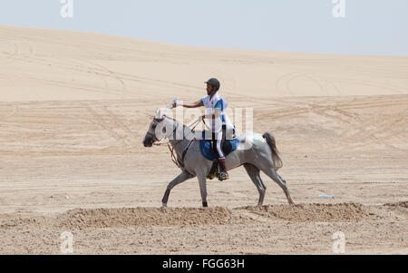 Extreme Hitze in der Wüste bei Langstreckenrennen für CHI Al Shaqab 2014.  Fahrer schüttet Wasser auf das Pferd mit einer Flasche Wasser Stockfoto