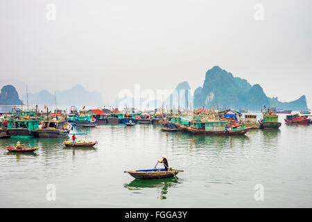 Bunte Fischerboote im Hafen von Cai Rong, Vietnam Stockfoto