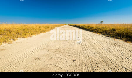 Endlose Schotterstraße durch die Ebenen von Botswana, Afrika im Makgadikgadi Pan Stockfoto