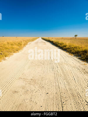 Endlose Schotterstraße durch die Ebenen von Botswana, Afrika im Makgadikgadi Pan Stockfoto